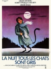 La nuit, tous les chats sont gris