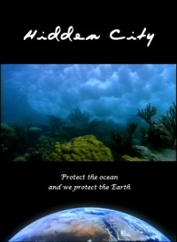 Hidden City