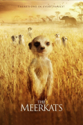 Película The Meerkats
