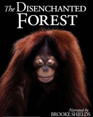 The Disenchanted Forest