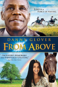 Película From Above
