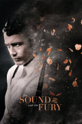Película The Sound and the Fury
