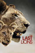Película The Last Lions