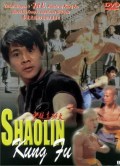Película Shaolin Kung Fu