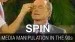 Spin