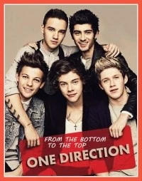 One Direction: From the Bottom to the Top