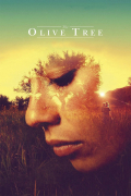 Película The Olive Tree