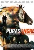 Película Purasangre