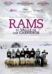 Rams: El valle de los carneros