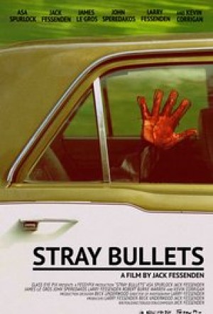 Stray Bullets