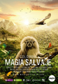Película Colombia magia salvaje