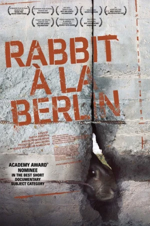 Berlín, los conejos del muro