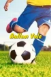 Ballon vole