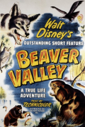 Película Beaver Valley