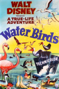 Película Water Birds