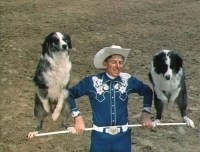 Cow Dog Cow Dog