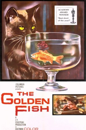 Histoire d'un poisson rouge