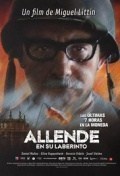 Película Allende en su laberinto 