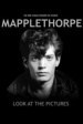 Mapplethorpe: Look at the Pictures 