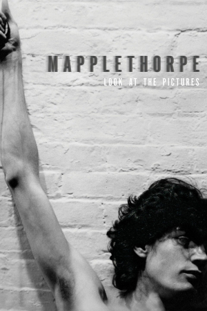 Mapplethorpe: Look at the Pictures 
