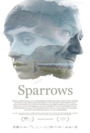 Sparrows (Gorriones) Sparrows (Gorriones)