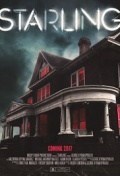 Película Starling