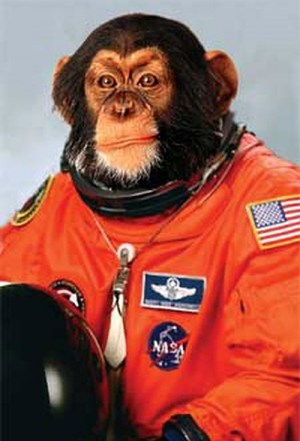 Amazing Ape