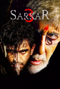 Película Sarkar 3