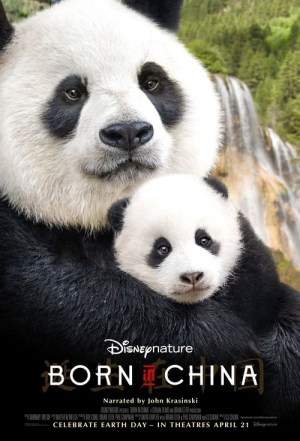 Nacidos en China