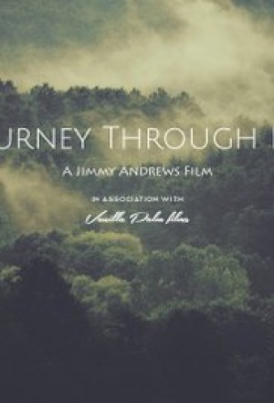 A Journey Through Pines