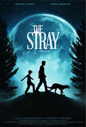 The Stray