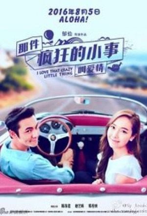 Na jian feng kuang de xiao shi jiao ai qing