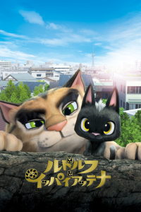 Gatos. Un viaje de vuelta a casa
