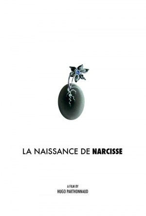 La naissance de Narcisse