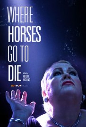 Where Horses Go to Die