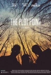 The Plot Point