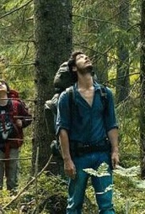 Dans la forêt