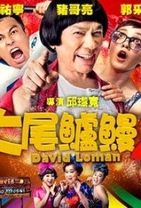 David Loman 2