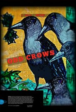 Odd Crows