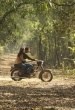 A Death in the Gunj