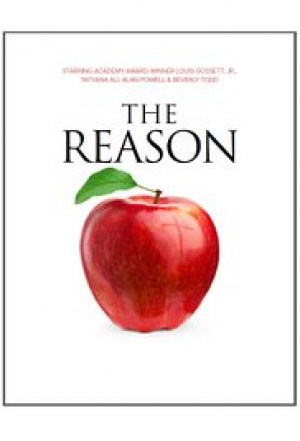 The Reason