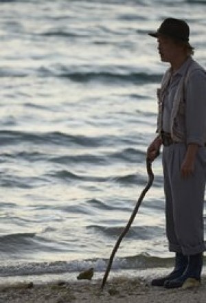 The Shell Collector