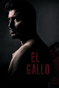 Película El Gallo
