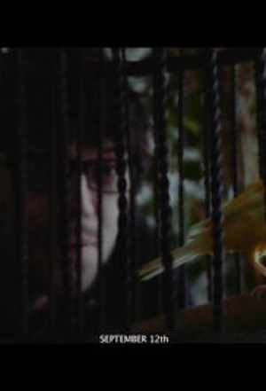 Little Yellow Bird