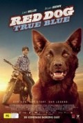 Película Red Dog: True Blue