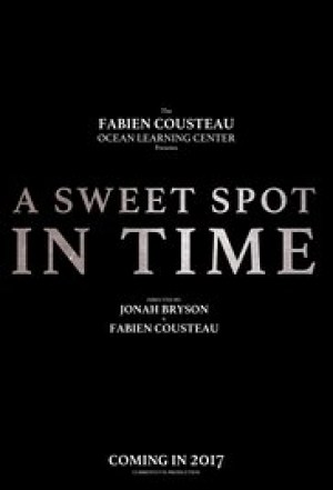 A Sweet Spot in Time A Sweet Spot in Time