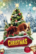 Película Project: Puppies for Christmas