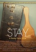 Película Stay