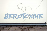 Serotonine