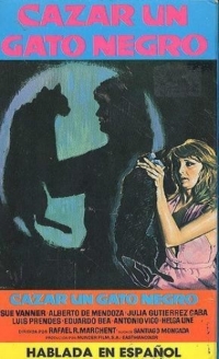 Cazar un gato negro